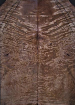 redwood electric 6
